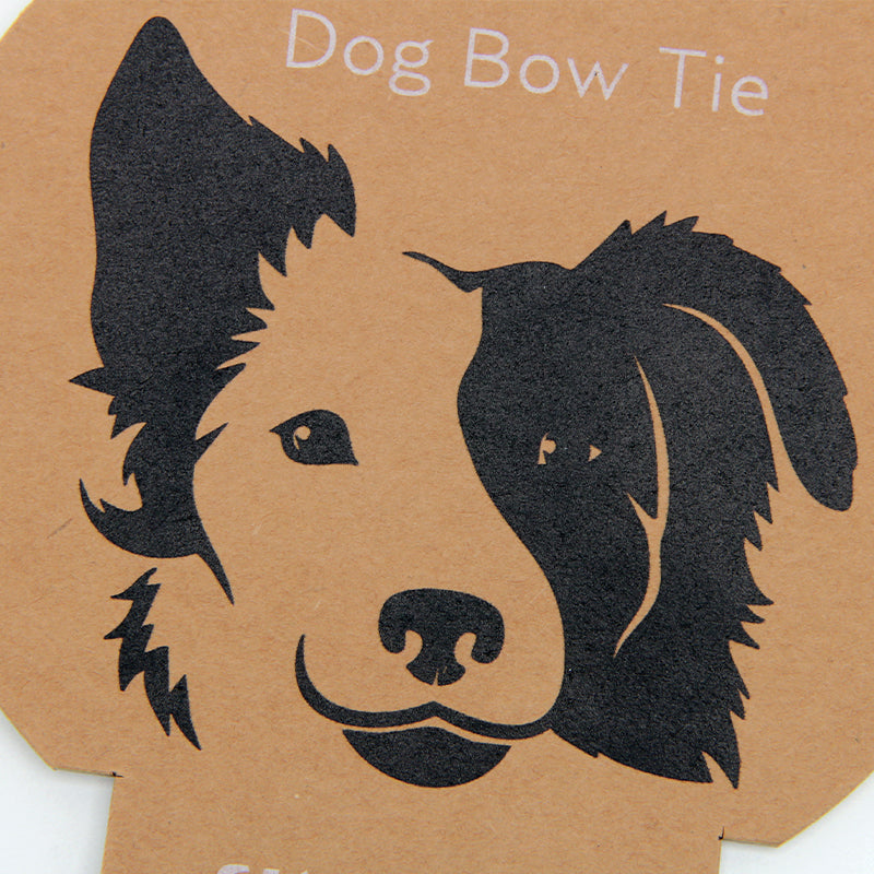 Custom Dog Bow Tie Packaging Card with Hanger Hole for Retail Display